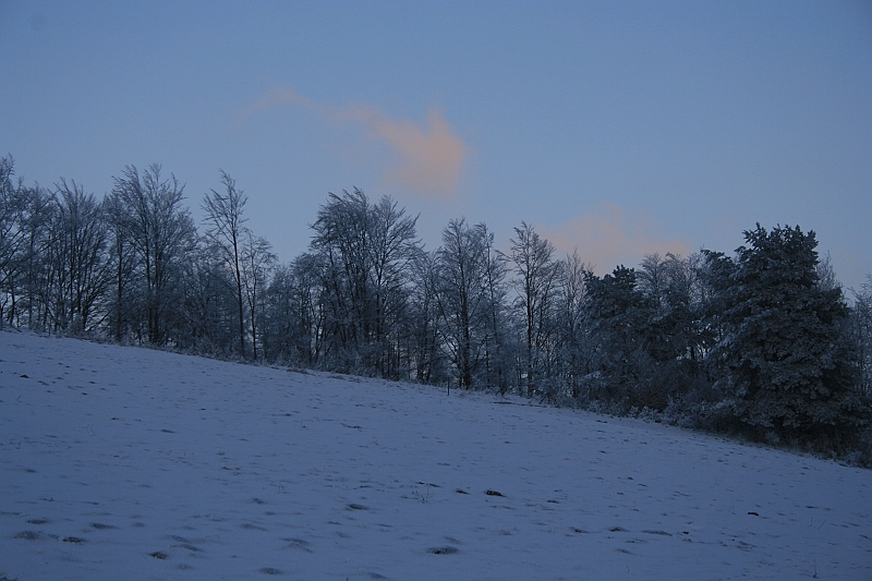 Bieszczady 12.2007 069
